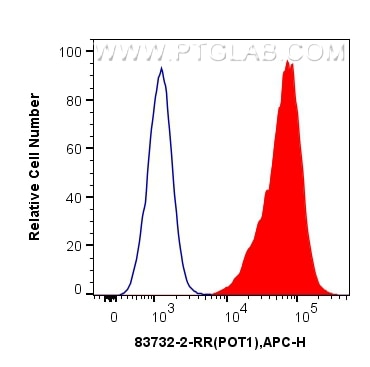 Flow cytometry (FC) experiment of U2OS cells using POT1 Recombinant antibody (83732-2-RR)