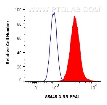 Flow cytometry (FC) experiment of HepG2 cells using PPA1 Recombinant monoclonal antibody (85445-3-RR)