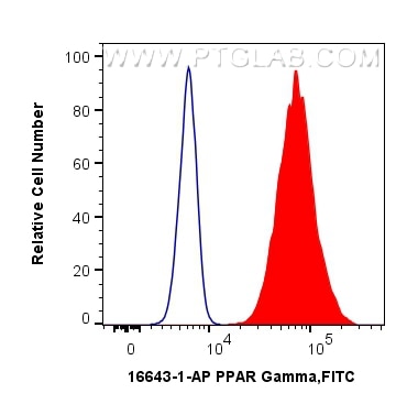 Flow cytometry (FC) experiment of HeLa cells using PPAR Gamma Polyclonal antibody (16643-1-AP)