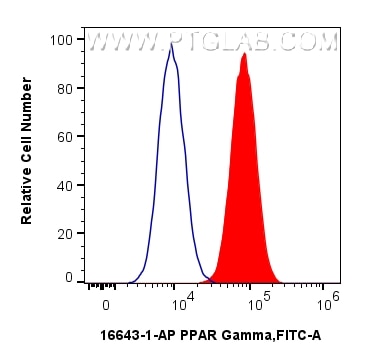 Flow cytometry (FC) experiment of HeLa cells using PPAR Gamma Polyclonal antibody (16643-1-AP)