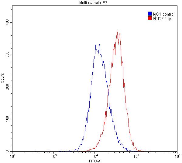 Flow cytometry (FC) experiment of K-562 cells using PPAR Gamma Monoclonal antibody (60127-1-Ig)