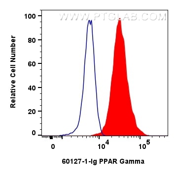 Flow cytometry (FC) experiment of HeLa cells using PPAR Gamma Monoclonal antibody (60127-1-Ig)