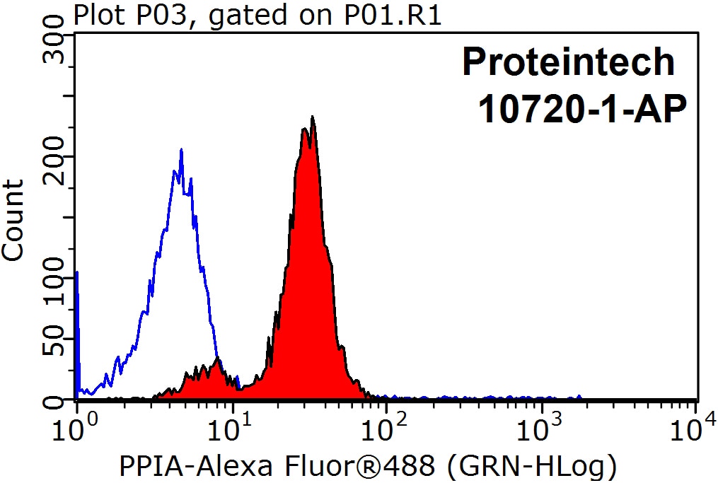 Flow cytometry (FC) experiment of HeLa cells using Cyclophilin A Polyclonal antibody (10720-1-AP)