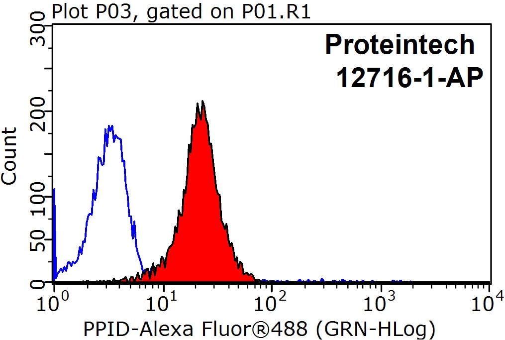Flow cytometry (FC) experiment of HeLa cells using PPID Polyclonal antibody (12716-1-AP)