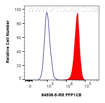 Flow cytometry (FC) experiment of Jurkat cells using PPP1CB Recombinant antibody (84938-5-RR)