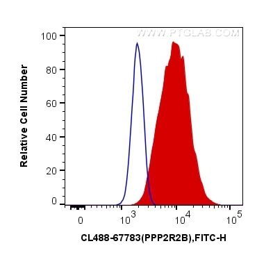 Flow cytometry (FC) experiment of HeLa cells using CoraLite® Plus 488-conjugated PPP2R2B Monoclonal a (CL488-67783)
