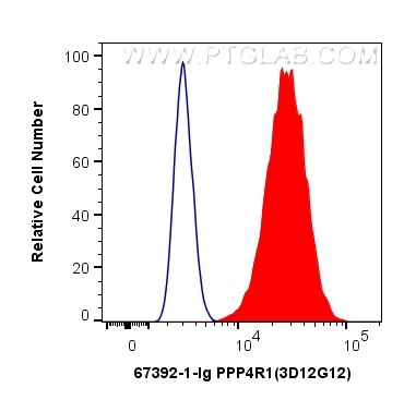 Flow cytometry (FC) experiment of HeLa cells using PPP4R1 Monoclonal antibody (67392-1-Ig)