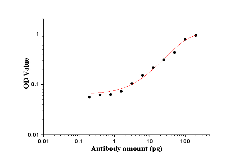 ELISA experiment of peptide using 23979-1-AP