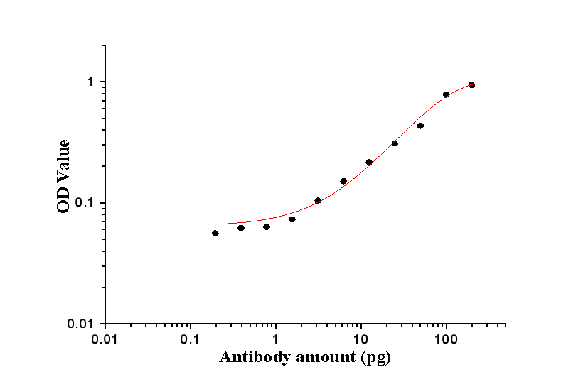 ELISA experiment of peptide using PR repeat Polyclonal antibody (23979-1-AP)