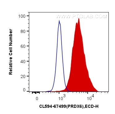 Flow cytometry (FC) experiment of HeLa cells using CoraLite®594-conjugated PRDX6 Monoclonal antibody (CL594-67499)