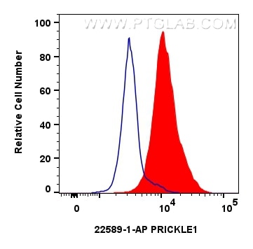 Flow cytometry (FC) experiment of HeLa cells using PRICKLE1 Polyclonal antibody (22589-1-AP)