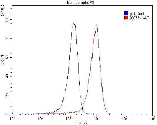 Flow cytometry (FC) experiment of Jurkat cells using PKC Epsilon Polyclonal antibody (20877-1-AP)