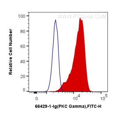 Flow cytometry (FC) experiment of SH-SY5Y cells using PKC Gamma Monoclonal antibody (66429-1-Ig)