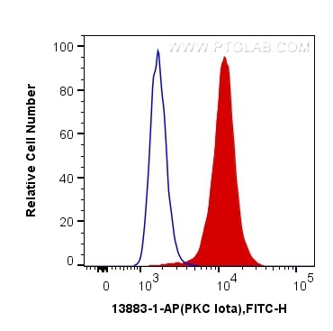 Flow cytometry (FC) experiment of HeLa cells using PKC Iota Polyclonal antibody (13883-1-AP)