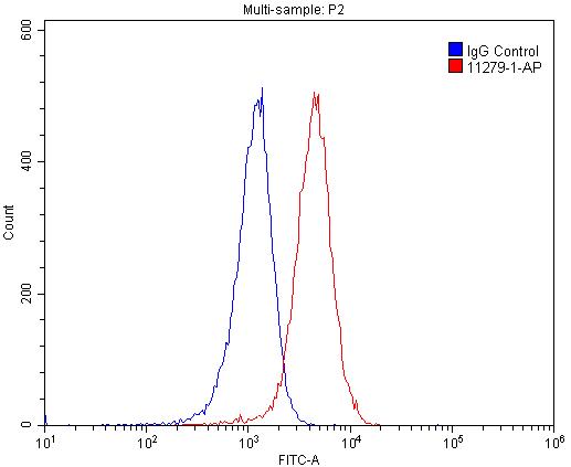 Flow cytometry (FC) experiment of Raji cells using PRMT1 Polyclonal antibody (11279-1-AP)