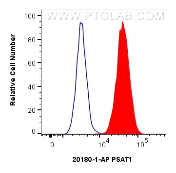Flow cytometry (FC) experiment of HeLa cells using PSAT1 Polyclonal antibody (20180-1-AP)