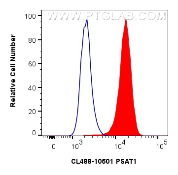 Flow cytometry (FC) experiment of HepG2 cells using CoraLite® Plus 488-conjugated PSAT1 Polyclonal ant (CL488-10501)