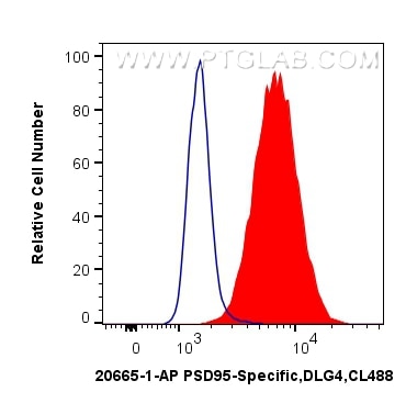 Flow cytometry (FC) experiment of Neuro-2a cells using PSD95-Specific,DLG4 Polyclonal antibody (20665-1-AP)