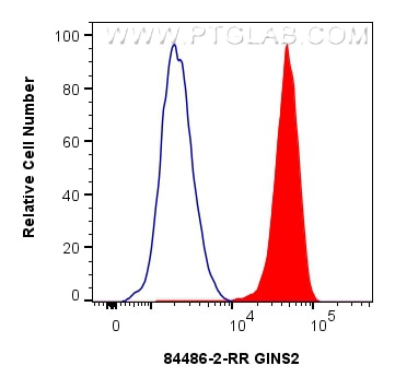 Flow cytometry (FC) experiment of Jurkat cells using GINS2 Recombinant antibody (84486-2-RR)