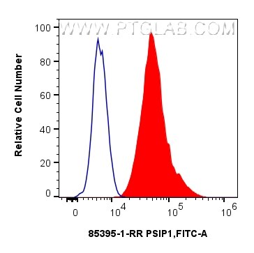 FC experiment of HeLa using 85395-1-RR (same clone as 85395-1-PBS) Flow cytometry (FC) experiment of HeLa cells using PSIP1 Recombinant monoclonal antibody (85395-1-RR)