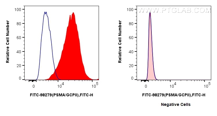 FC experiment of LNCaP using FITC-98279 Flow cytometry (FC) experiment of LNCaP cells using FITC Plus Anti-Human PSMA/GCPII Rabbit Recombinant (FITC-98279)