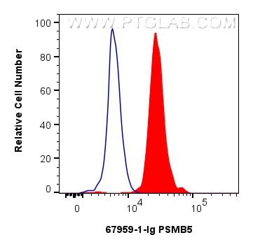 Flow cytometry (FC) experiment of HepG2 cells using PSMB5 Monoclonal antibody (67959-1-Ig)