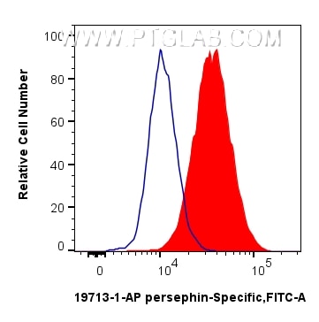 Flow cytometry (FC) experiment of HepG2 cells using persephin-Specific Polyclonal antibody (19713-1-AP)