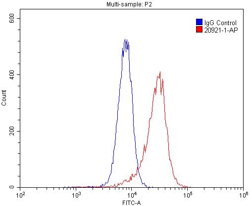 FC experiment of HL-60 using 20921-1-AP