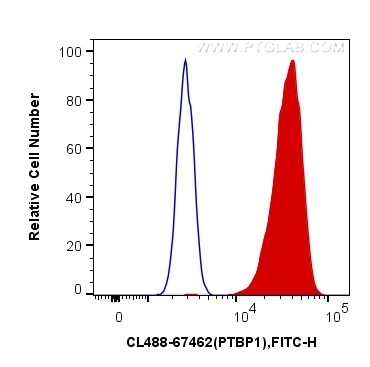 Flow cytometry (FC) experiment of HeLa cells using CoraLite® Plus 488-conjugated PTBP1 Monoclonal ant (CL488-67462)