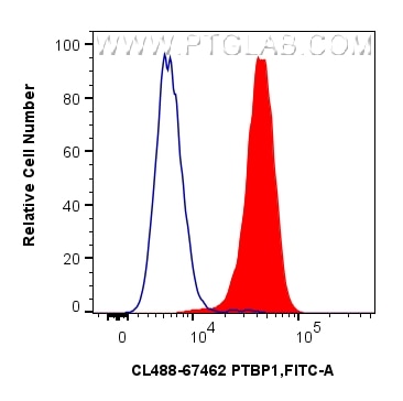 FC experiment of HeLa using CL488-67462 Flow cytometry (FC) experiment of HeLa cells using CoraLite® Plus 488-conjugated PTBP1 Monoclonal ant (CL488-67462)