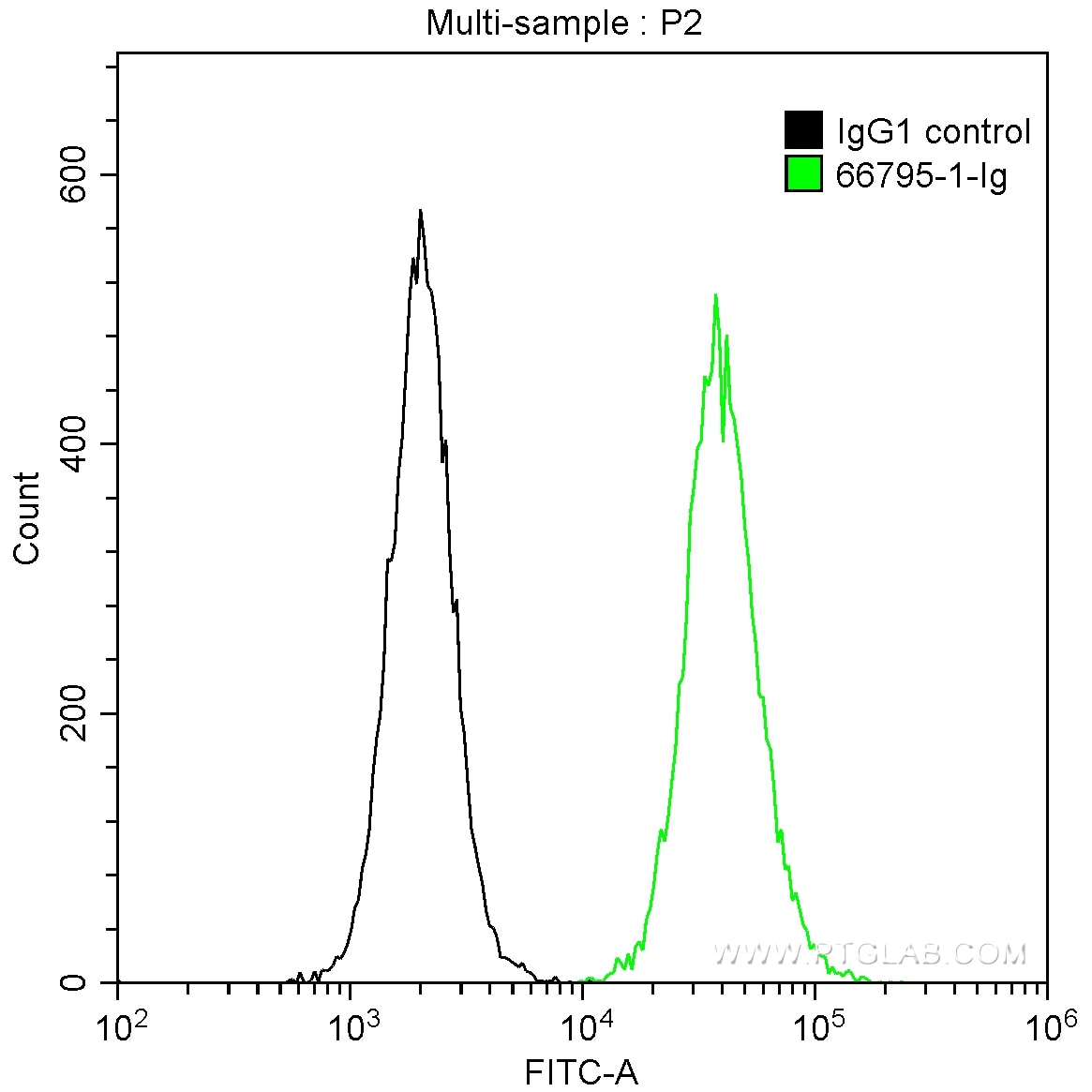 PTPN11/SHP2