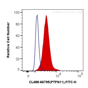 Flow cytometry (FC) experiment of MCF-7 cells using CoraLite® Plus 488-conjugated PTPN11 Monoclonal an (CL488-66795)