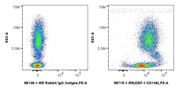 FC experiment of human peripheral blood lymphocytes using 98715-1-RR Flow cytometry (FC) experiment of human peripheral blood lymphocytes using Anti-Human PTPRJ/CD148 Rabbit Recombinant Antibody (98715-1-RR)