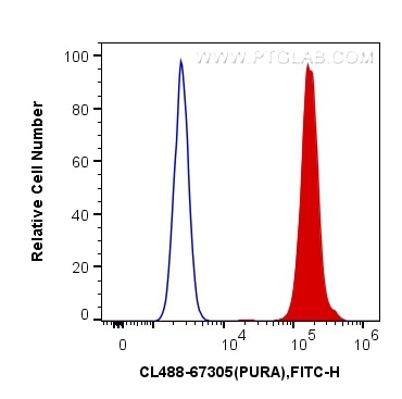 Flow cytometry (FC) experiment of HeLa cells using CoraLite® Plus 488-conjugated PURA Monoclonal anti (CL488-67305)
