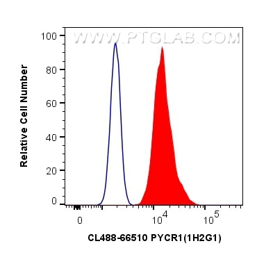 Flow cytometry (FC) experiment of HeLa cells using CoraLite® Plus 488-conjugated PYCR1 Monoclonal ant (CL488-66510)