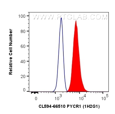 Flow cytometry (FC) experiment of HeLa cells using CoraLite®594-conjugated PYCR1 Monoclonal antibody (CL594-66510)