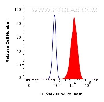Flow cytometry (FC) experiment of HeLa cells using CoraLite®594-conjugated Palladin Polyclonal antibo (CL594-10853)