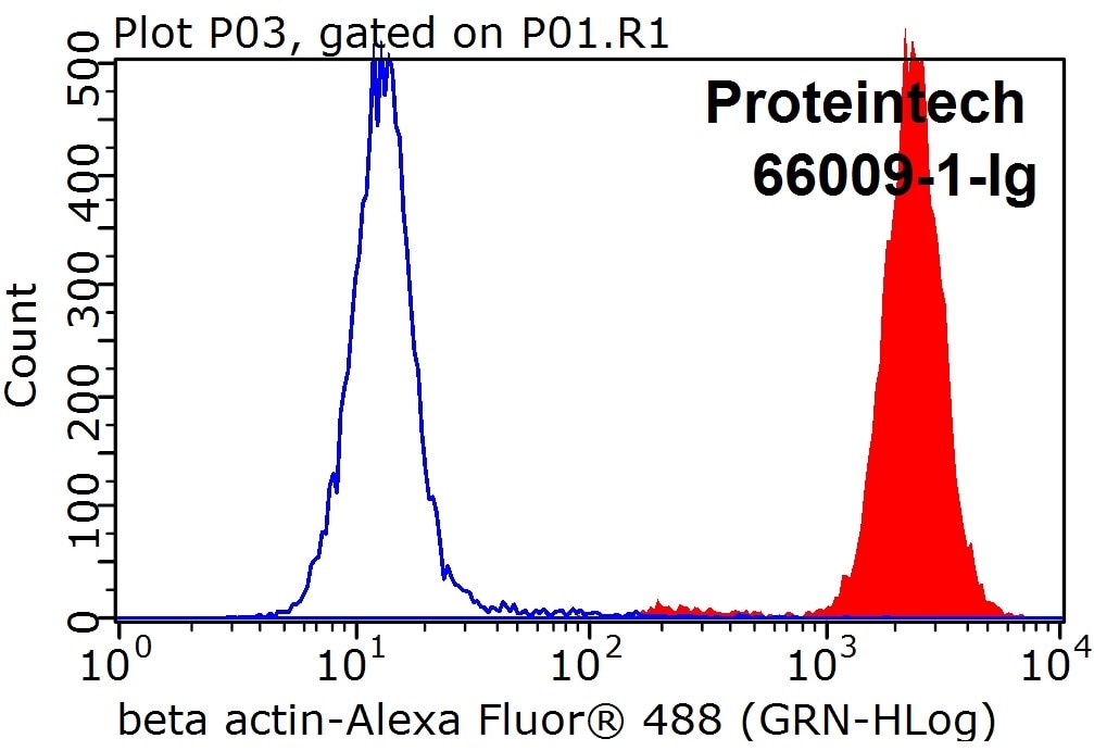 Flow cytometry (FC) experiment of HeLa cells using Beta Actin Monoclonal antibody (66009-1-Ig)