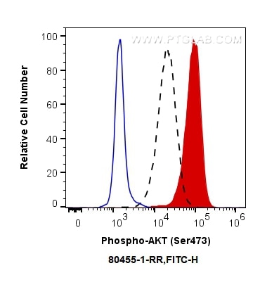 Flow cytometry (FC) experiment of HEK-293 cells using Phospho-AKT (Ser473) Recombinant antibody (80455-1-RR)