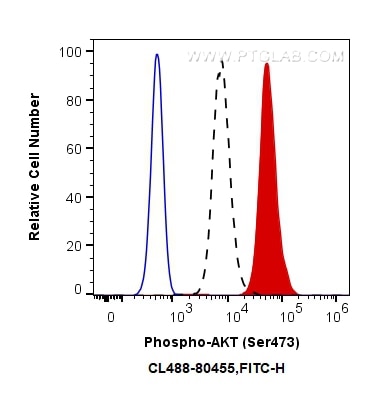 Flow cytometry (FC) experiment of HEK-293 cells using CoraLite® Plus 488-conjugated Phospho-AKT (Ser473) (CL488-80455)