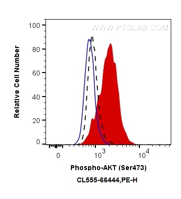 Phospho-AKT (Ser473)