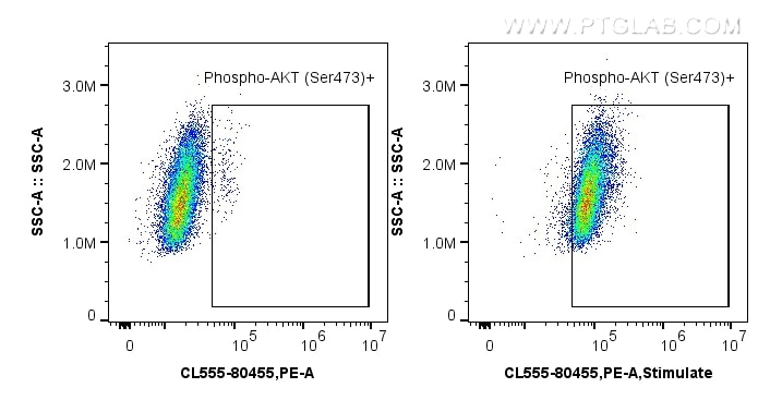 FC experiment of HEK-293 using CL555-80455