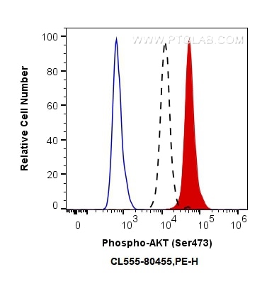 Flow cytometry (FC) experiment of HEK-293 cells using CoraLite®555-conjugated Phospho-AKT (Ser473) Recom (CL555-80455)