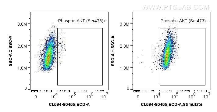 Flow cytometry (FC) experiment of HEK-293 cells using CoraLite®594-conjugated Phospho-AKT (Ser473) Recom (CL594-80455)