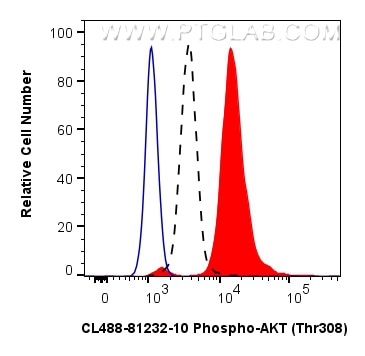 FC experiment of HeLa using CL488-81232-10 Flow cytometry (FC) experiment of HeLa cells using CoraLite® Plus 488-conjugated Phospho-AKT (Thr308) (CL488-81232-10)