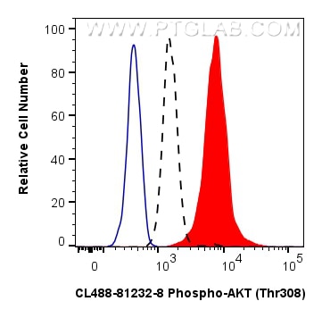 Flow cytometry (FC) experiment of HEK-293 cells using CoraLite® Plus 488-conjugated Phospho-AKT (Thr308) (CL488-81232-8)