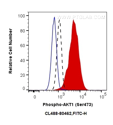 Flow cytometry (FC) experiment of NIH/3T3 cells using CoraLite® Plus 488-conjugated Phospho-AKT1 (Ser473 (CL488-80462)