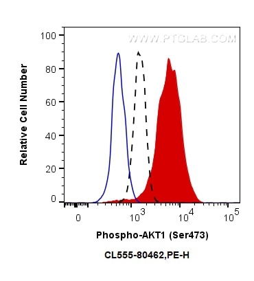 Flow cytometry (FC) experiment of NIH/3T3 cells using CoraLite®555-conjugated Phospho-AKT1 (Ser473) Reco (CL555-80462)