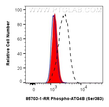 Flow cytometry (FC) experiment of K-562 cells using Phospho-ATG4B (Ser383) Recombinant monoclonal anti (85703-1-RR)