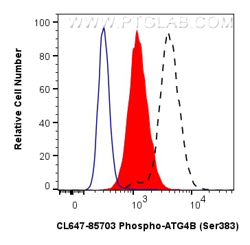Flow cytometry (FC) experiment of K-562 cells using CoraLite® Plus 647-conjugated Phospho-ATG4B (Ser38 (CL647-85703)